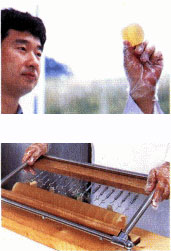 おこっぺ石鹸はやさしい石鹸です。